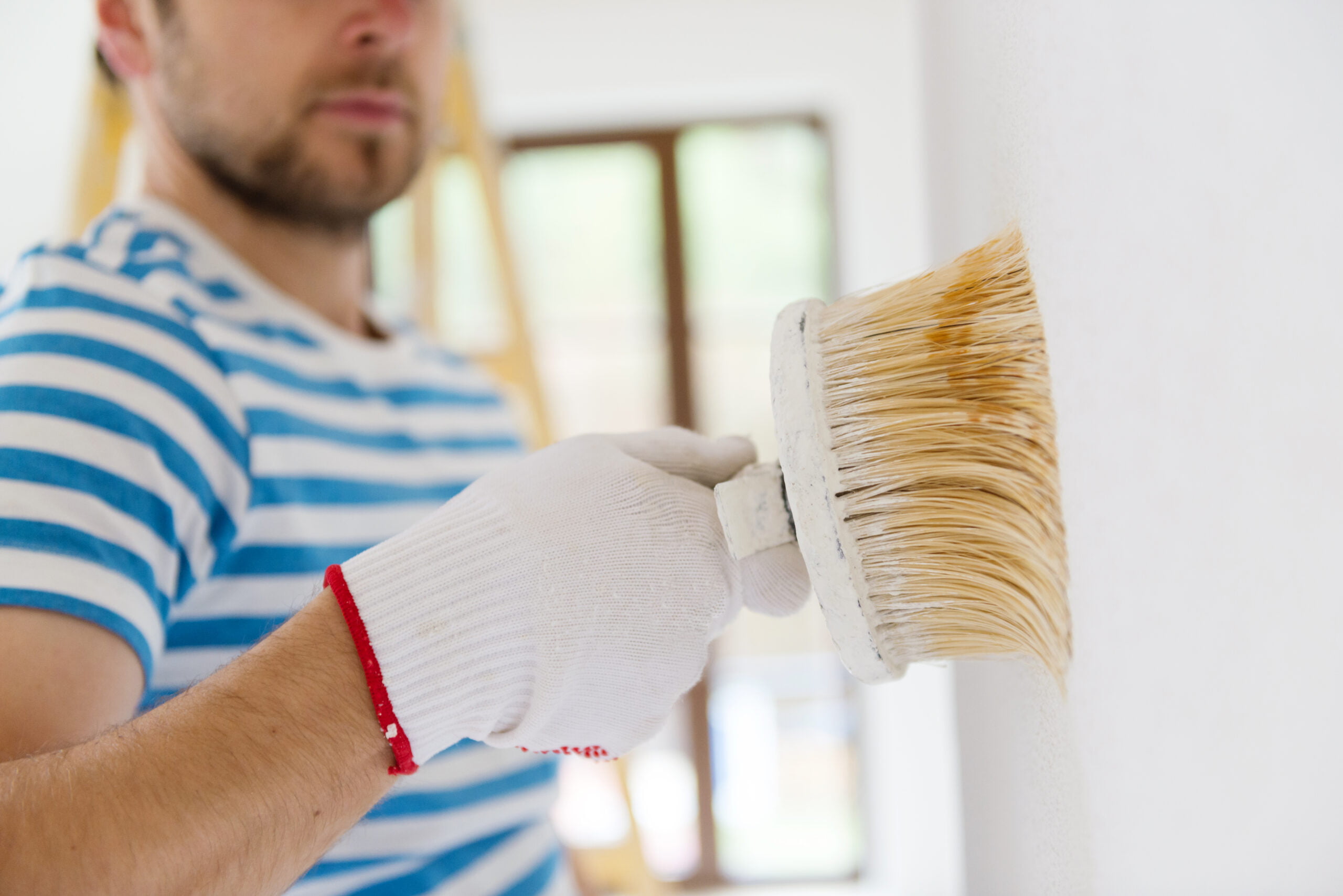 Professional Decorator